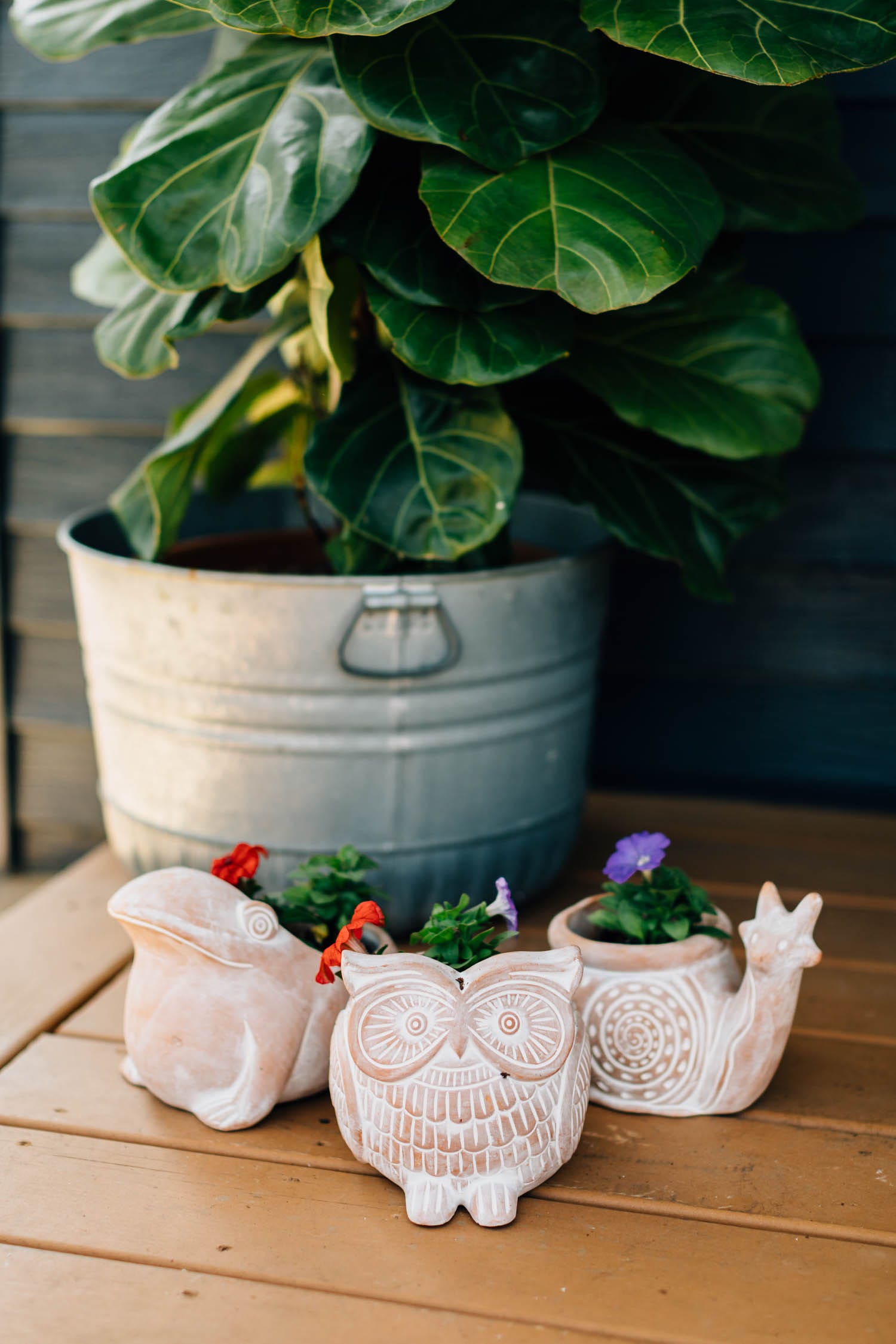 Owl Planter - Ten Thousand Villages