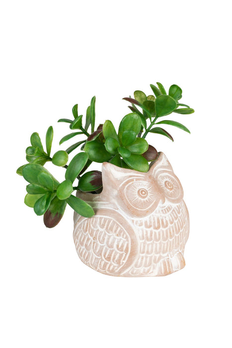 Petite Owl Planter 1