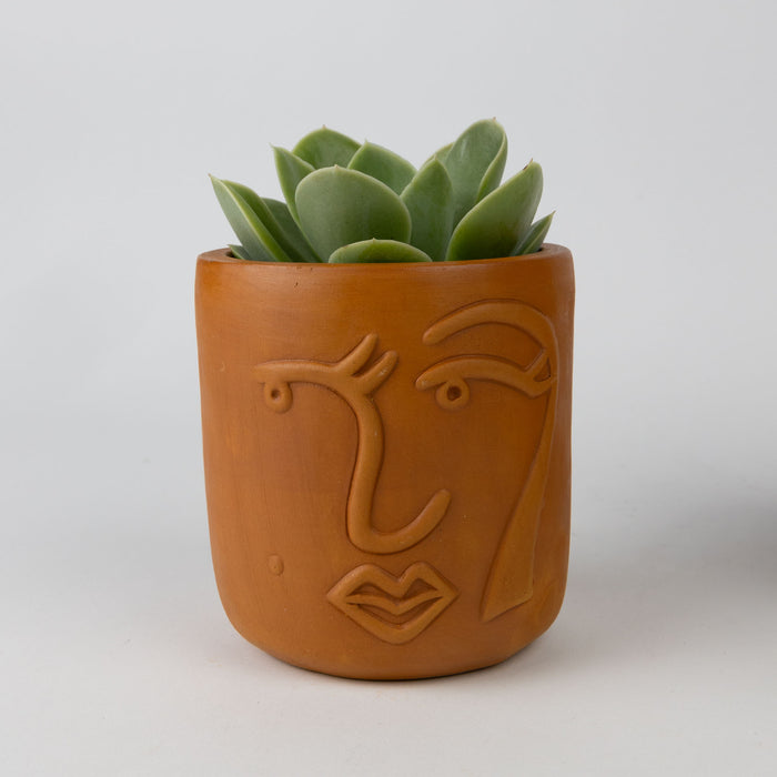 Full Lashes Terracotta Face Planter 4" - Default Title (6601580) 2