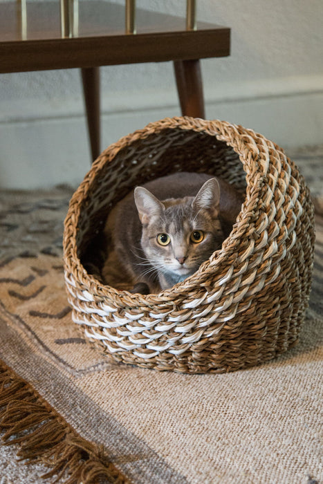 Recycled Sari Cat Basket 3