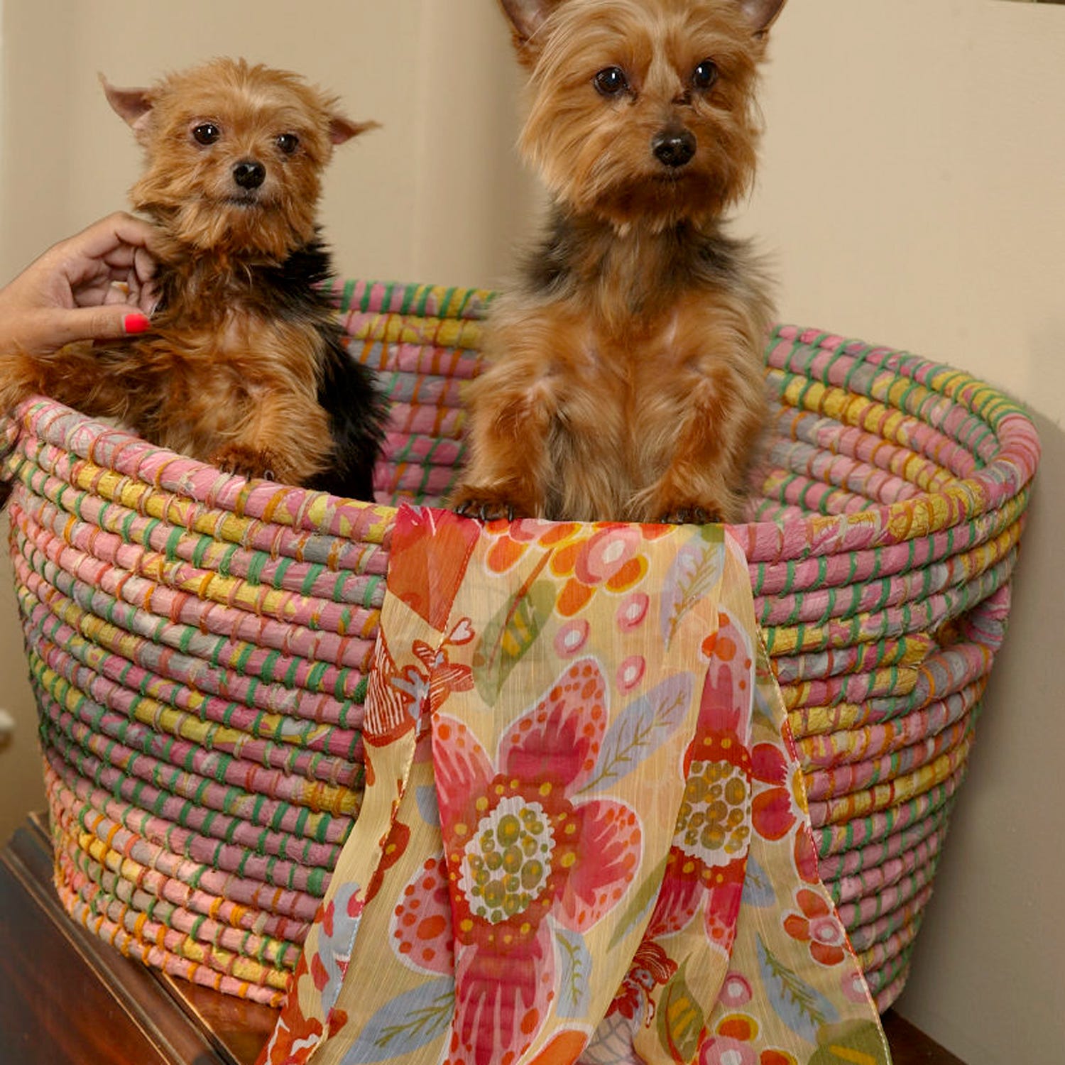 Bright Day Laundry Basket - Ten Thousand Villages
