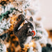 Happy Squirrel Felt Ornament thumbnail 2