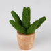 Handmade Mini Cotton Aloe Vera Plant thumbnail 2