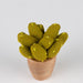 Handmade Mini Cotton Prickly Pear Cactus thumbnail 2
