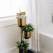 Tiered Brass Plant Stand thumbnail 3