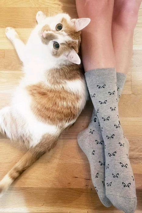 Socks that Save Cats (Sm) 3