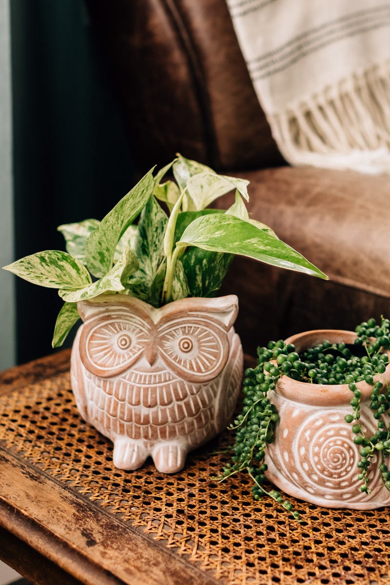 Owl Planter - Ten Thousand Villages